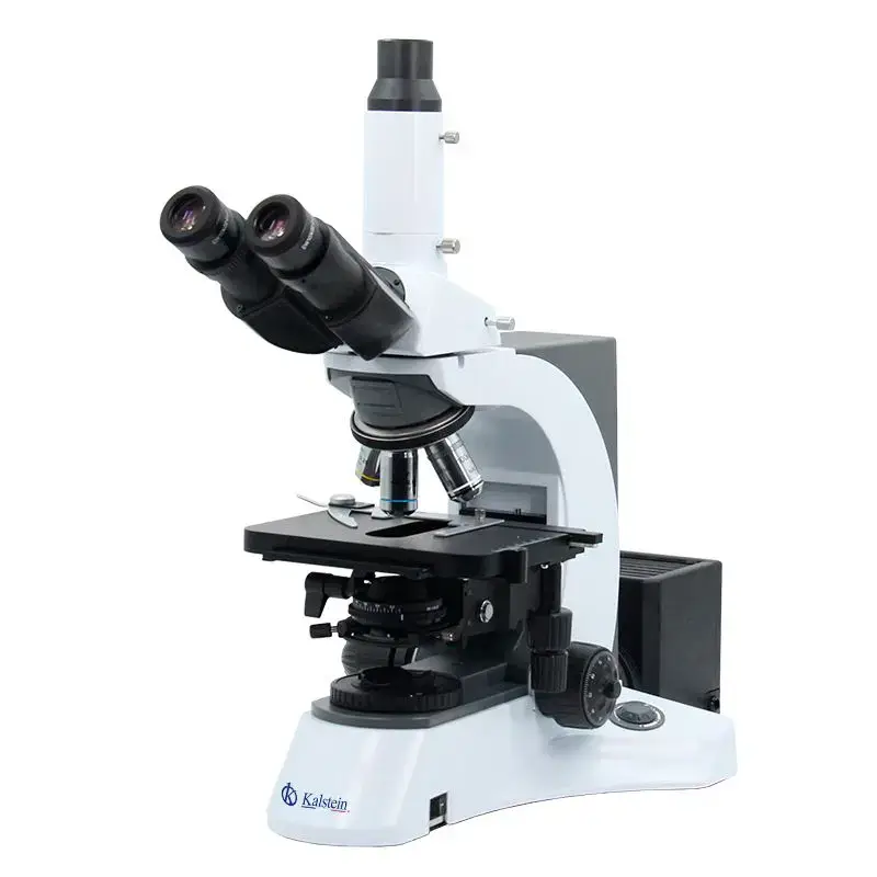 Sector Adaptations for the YR0231 Trinocular Microscope in Clinical, Industrial, Food, Veterinary, and Educational Applications