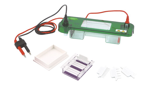 Horizontal Electrophoresis: Practical Step-by-Step Guide 2026