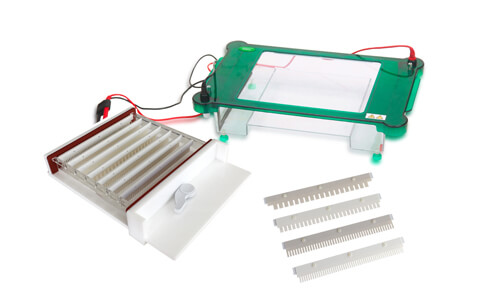 Sector Adaptations for the YR03421 Horizontal Electrophoresis System