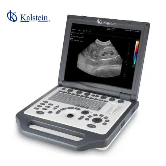 Veterinary Color Doppler: Practical Applications and Techniques 2026