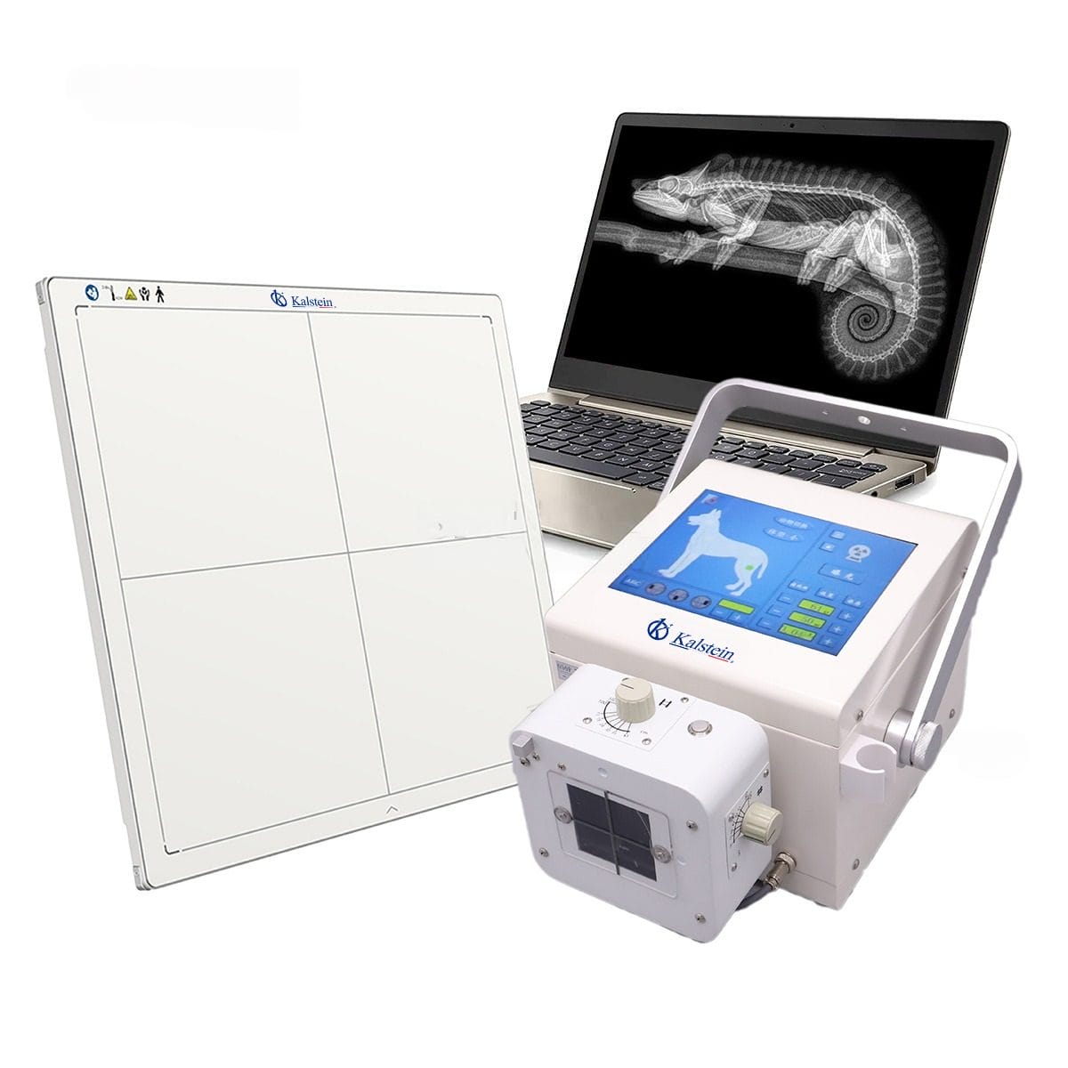 Interpreting Results and Reading Measurements with the YR06160 Portable Digital Veterinary X-Ray