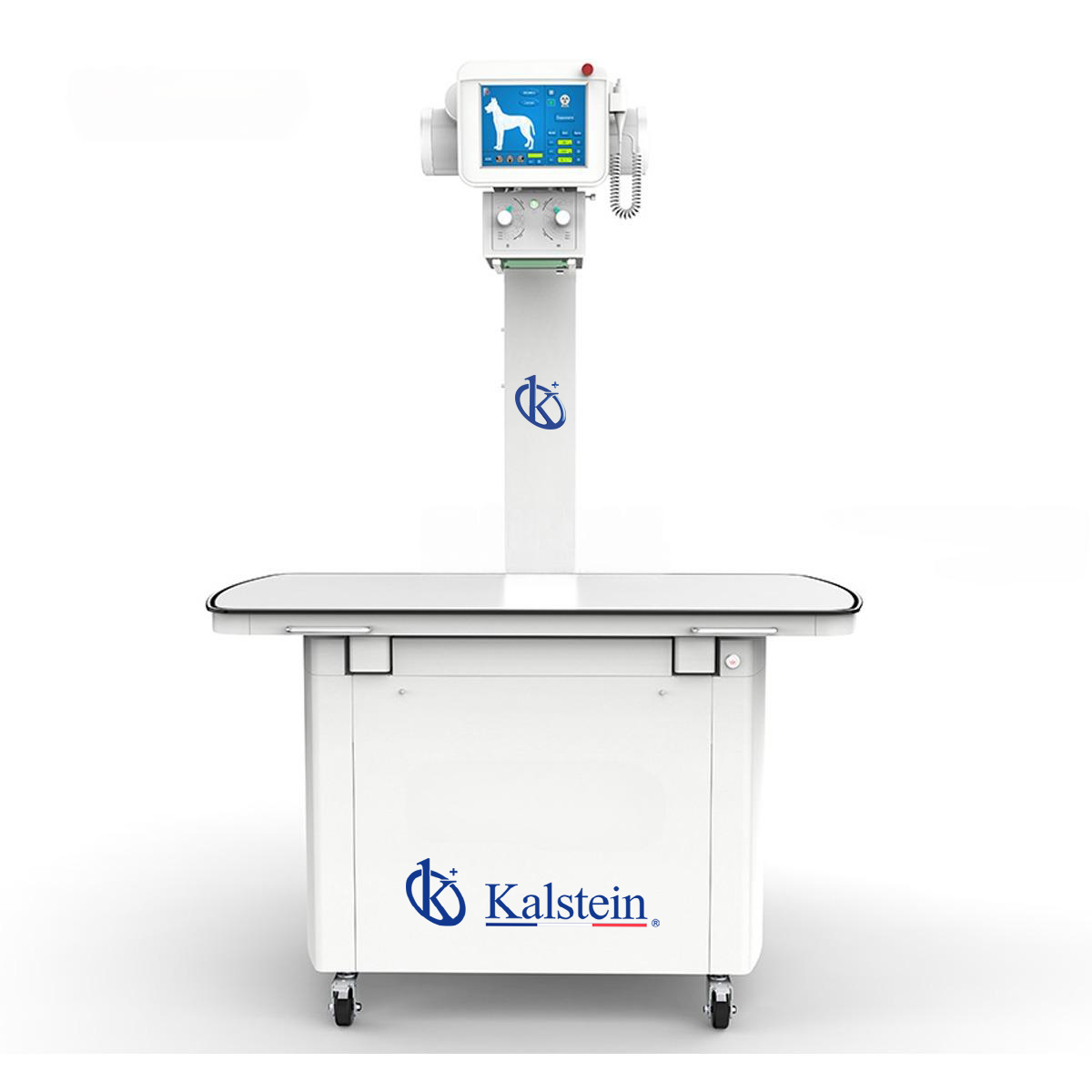 Digital Stationary Veterinary X-rays YR06163: Buying and Validation Criteria