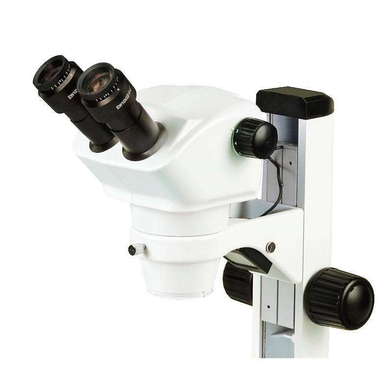 Binocular Laboratory Microscope Comparison: Kalstein vs. Omano