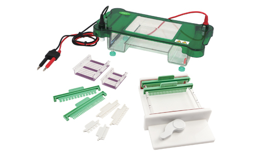 Electrophoresis: High-Resolution Biomolecule Separation in Genetic Research