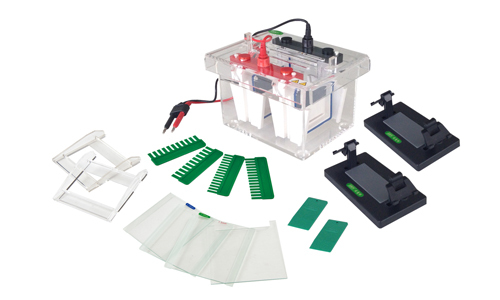 Discover the Power and Precision of Kalstein's Electrophoresis Line
