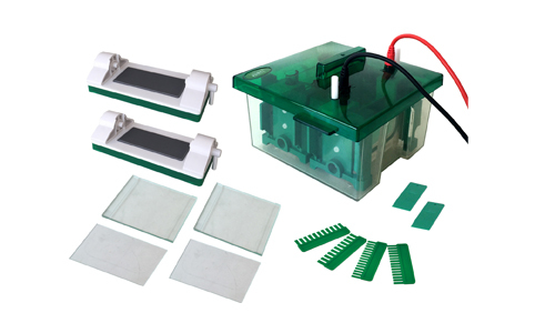 Cutting-Edge Electrophoresis Systems for DNA and Protein Analysis