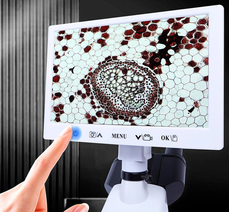 Explore the World of Microscopes with Kalstein