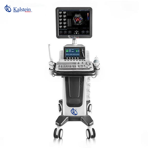 Revolutionizing Animal Health: The Comprehensive Guide to Veterinary Ultrasound