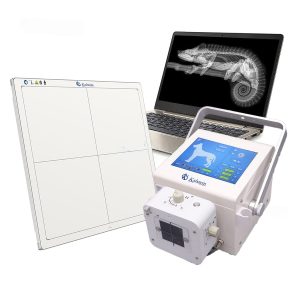 Unveiling the Potential: Veterinary X-Ray Innovations by Kalstein