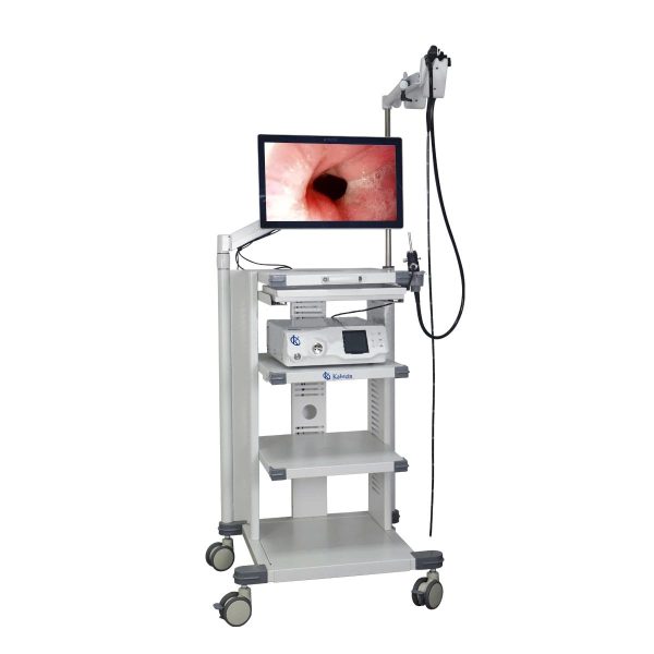 Veterinary Video Endoscope: High-Precision Internal Exploration in Animals