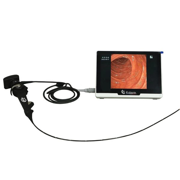 Revolutionizing Veterinary Care: Everything You Need to Know About Veterinary Video Endoscope