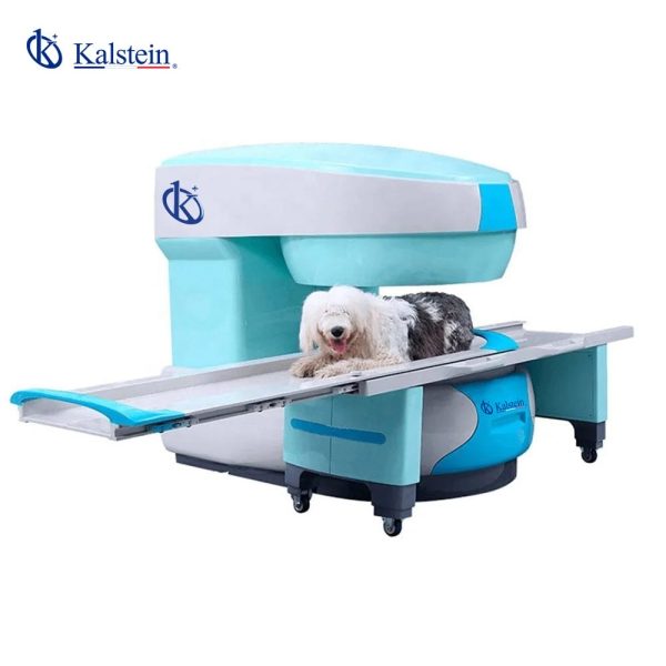 Uncovering the Future of Veterinary Imaging: Veterinary MRI Solutions