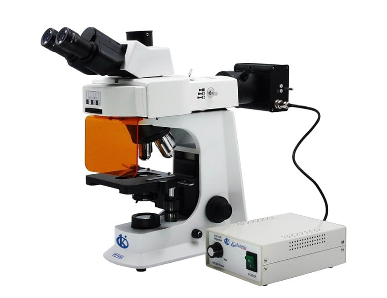 Comparative Analysis of Binocular LED Fluorescent Microscope YR06653 and Nikon Fluorescence Upright Microscope E200