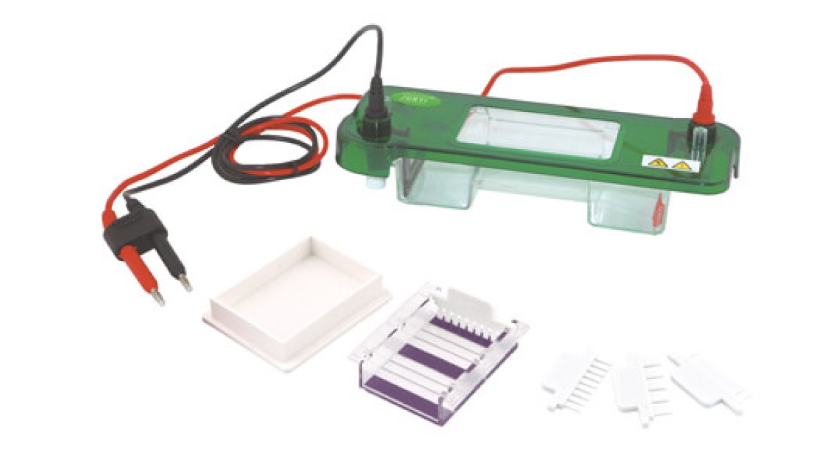 Horizontal Electrophoresis: Practical Step-by-Step Guide 2026